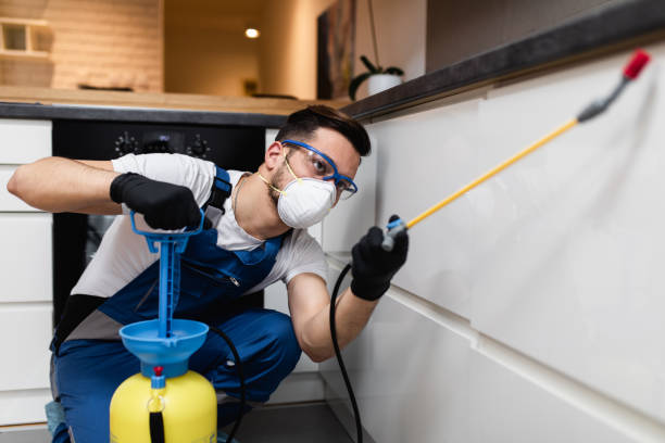 Best Best Pest Control Companies  in Decatur, MI