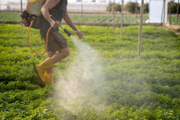 Best Pest Control for Homes  in Decatur, MI