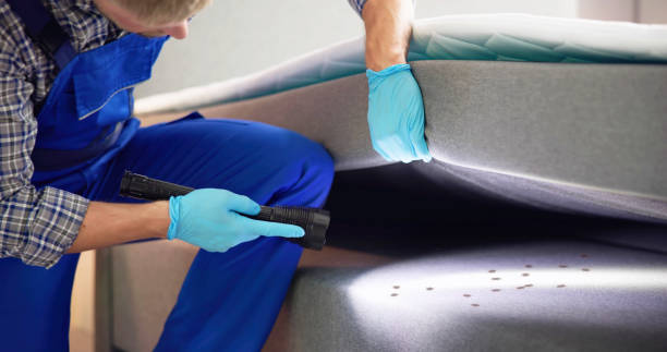 Best Affordable Pest Control Services  in Decatur, MI