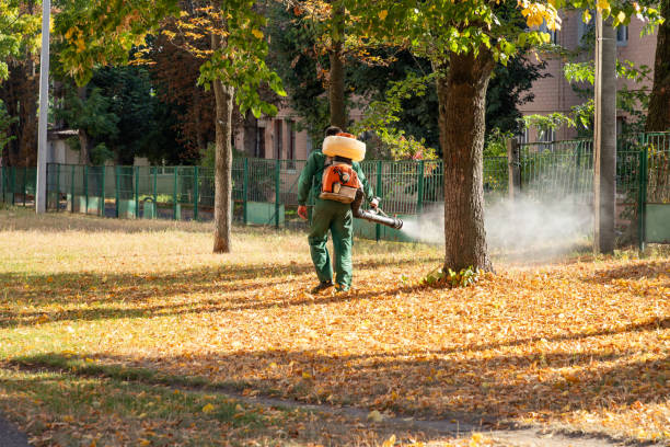 Best Flea Control Services  in Decatur, MI