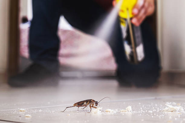 Best Exterminator Services  in Decatur, MI
