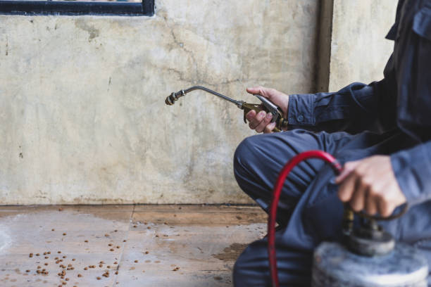 Best Pest Inspection Near Me  in Decatur, MI