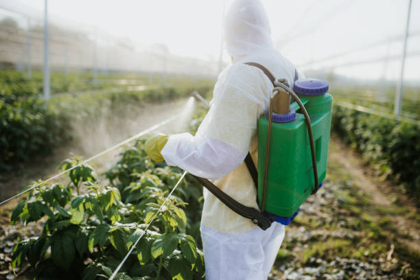 Best Affordable Pest Control Services  in Decatur, MI